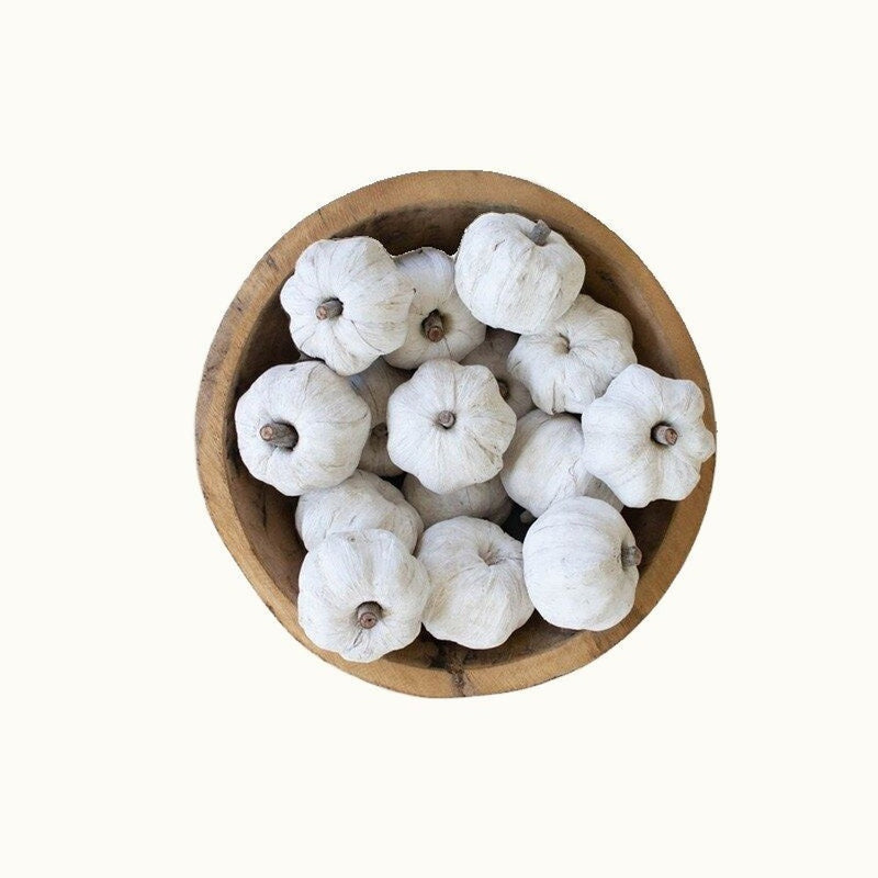 Bag of 15 White Dried Faux Pumpkins