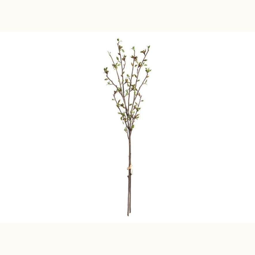 42" Budding Branches Set of 2