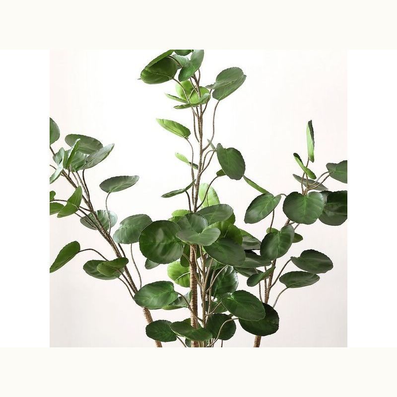 Faux Polyscias Potted Tree
