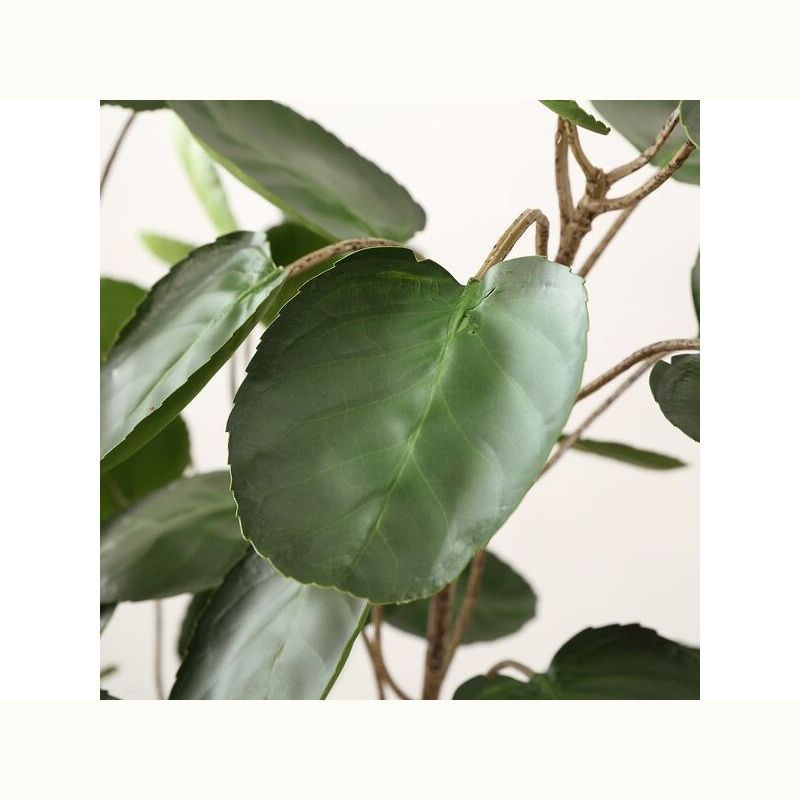 Faux Polyscias Potted Tree
