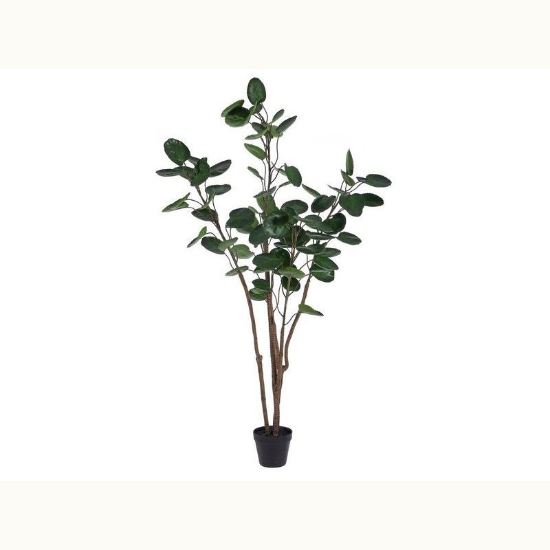 Faux Polyscias Potted Tree