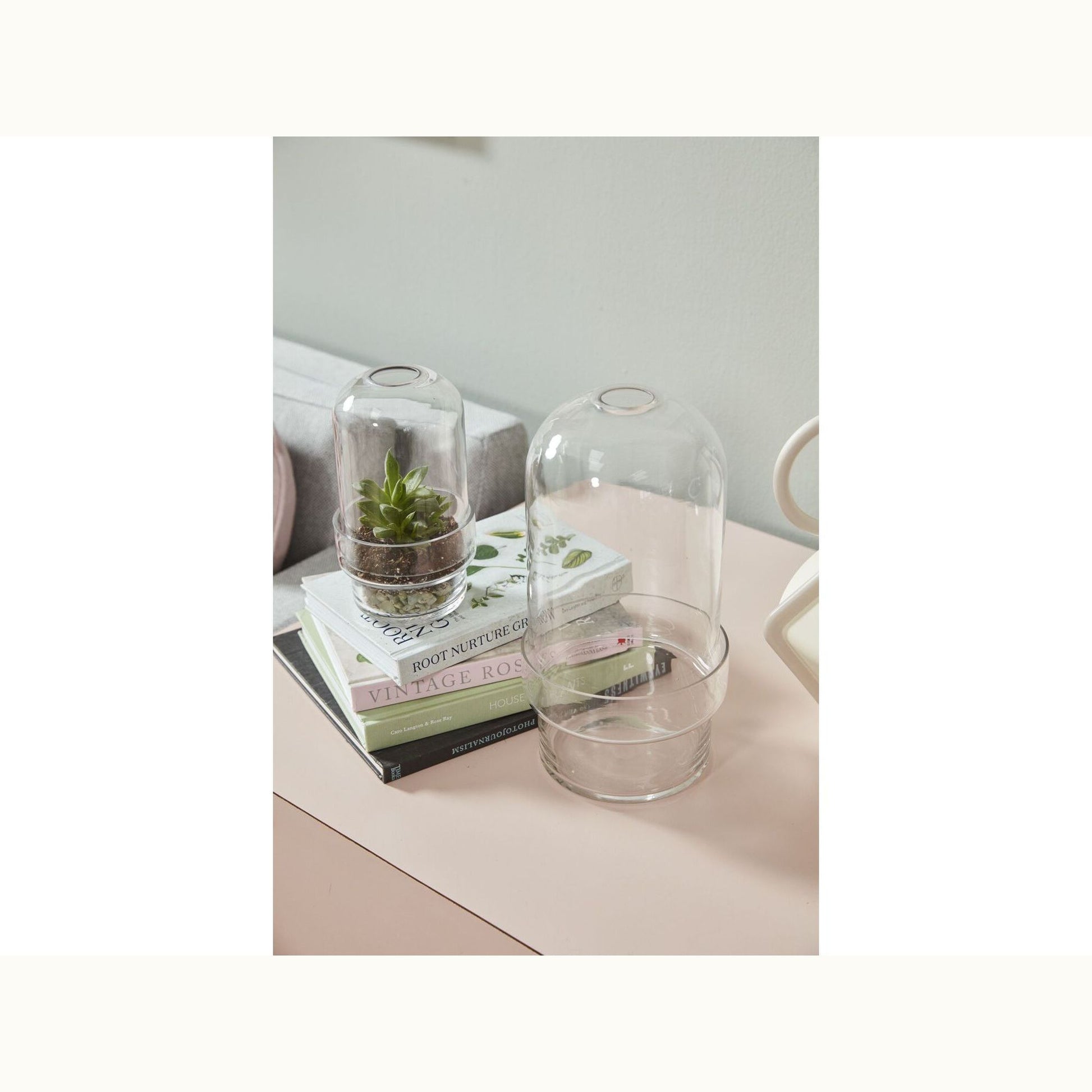 Terrarium Garden