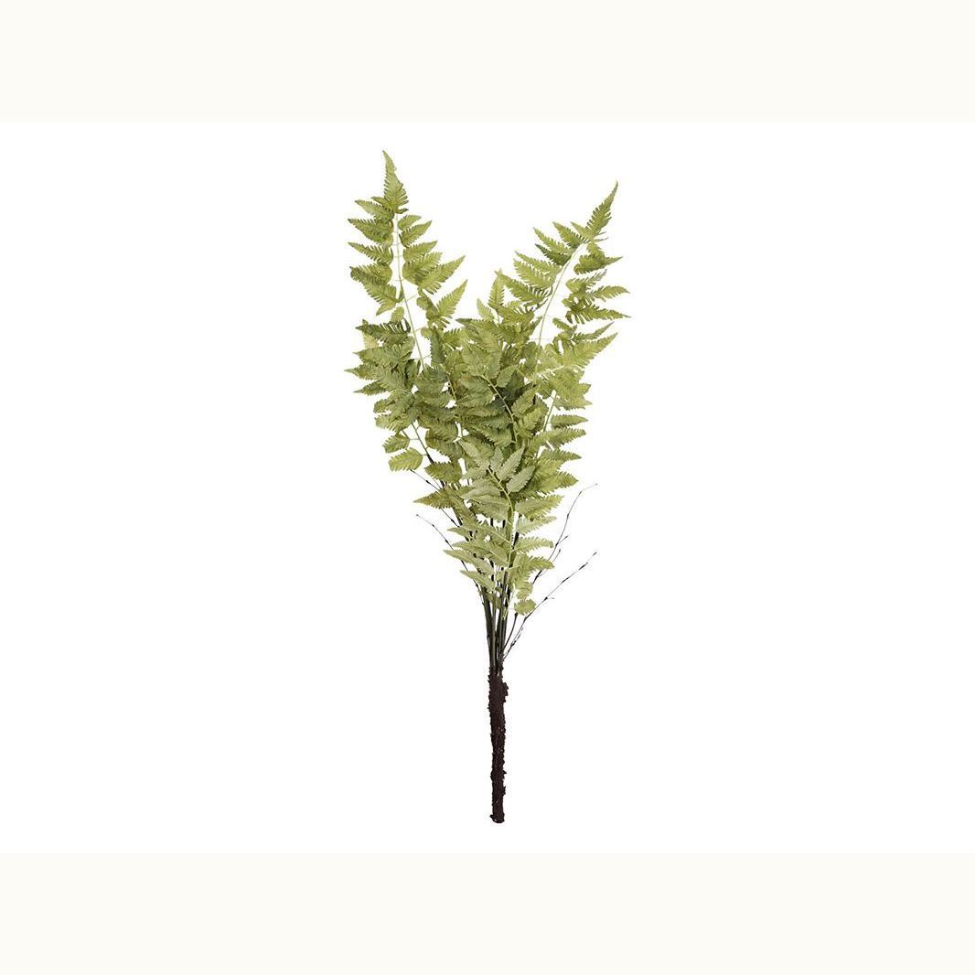 Iowa City Furniture Store