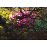 Iowa City Furniture Store