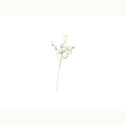 Botanica #962 - Mix Home Mercantile