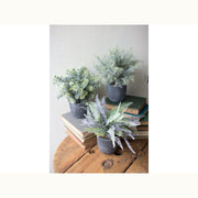 Iowa City Furniture Store