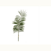 Iowa City Furniture Store