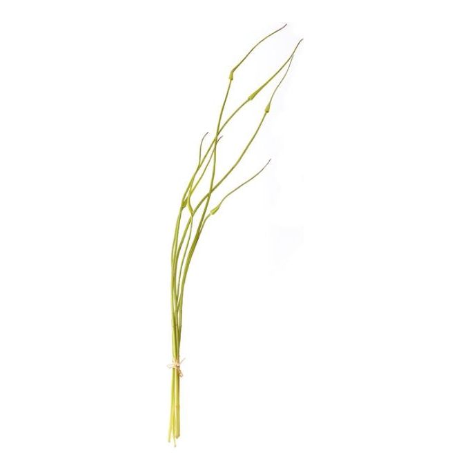 Iowa City Furniture Store