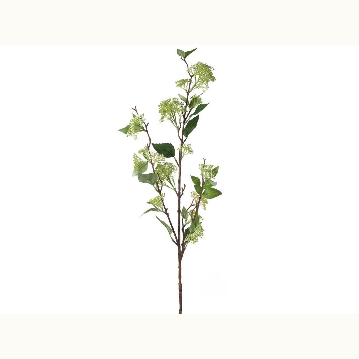 Iowa City Furniture Store