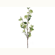 Iowa City Furniture Store