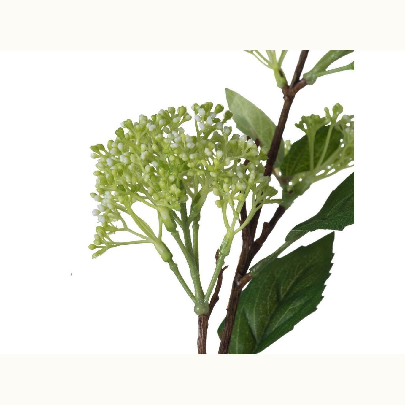 Iowa City Furniture Store