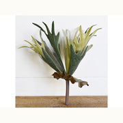 Antlers Fern Stem - Mix Home Mercantile