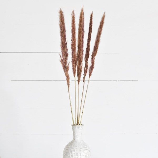 Pampas Flowers - Mix Home Mercantile