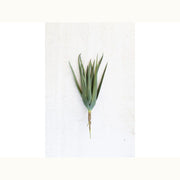 Artificial Aloe Stem - Mix Home Mercantile
