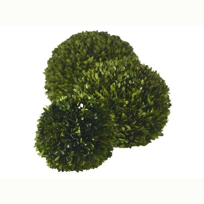 Iowa City Furniture Store