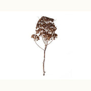 Iowa City Furniture Store