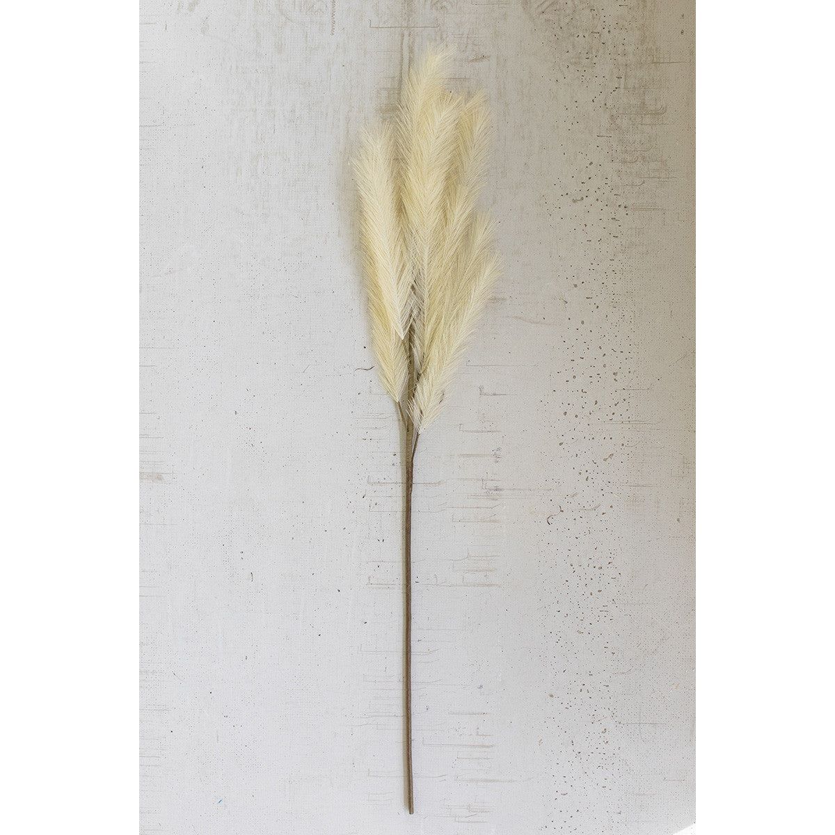 Pampas Stem - Mix Home Mercantile