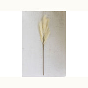Pampas Stem - Mix Home Mercantile